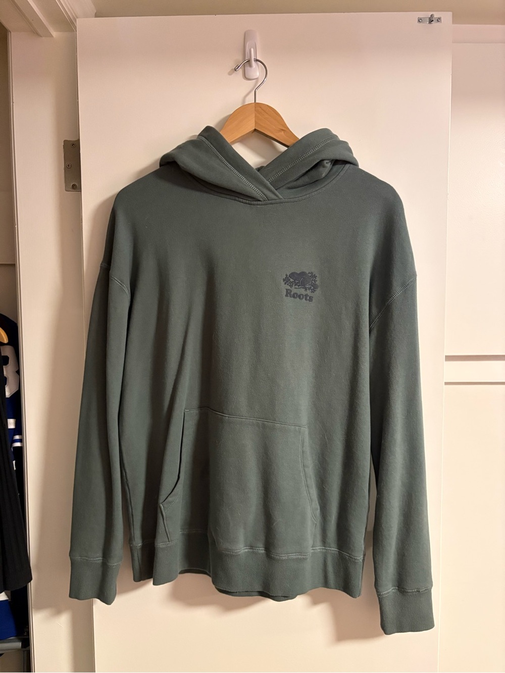Roots Hooded Sweatshirt in Sage Green